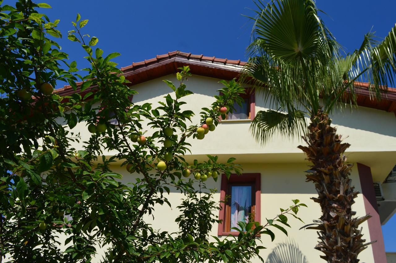 Erasmus Apart Hotel Dalyan Zewnętrze zdjęcie