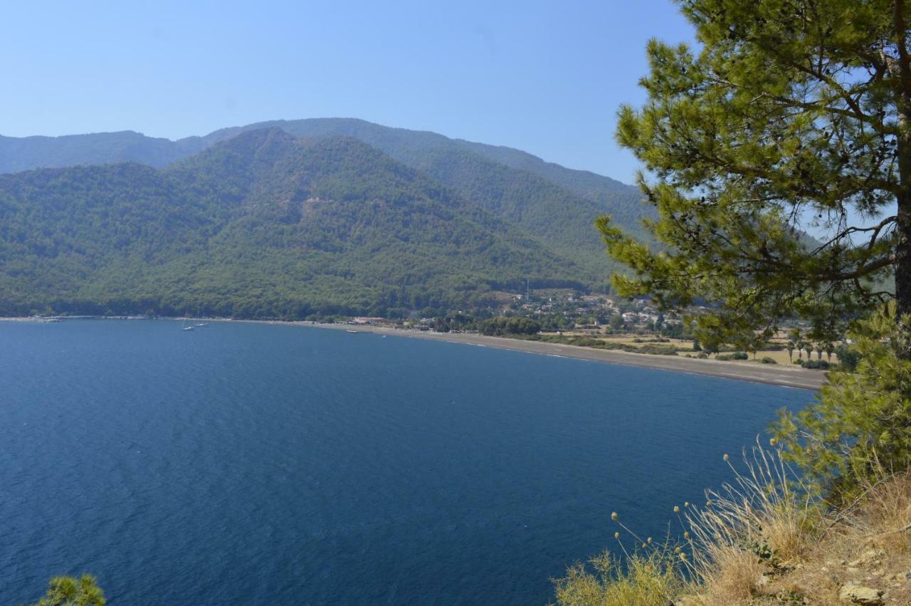 Erasmus Apart Hotel Dalyan Zewnętrze zdjęcie